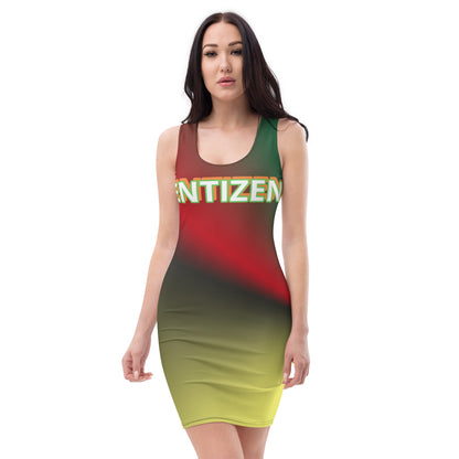 ENTIZEN Brand Body Dress